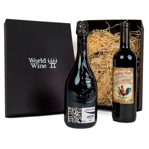 Kit Vinho Presenteavel 2 Garrafas 750ml