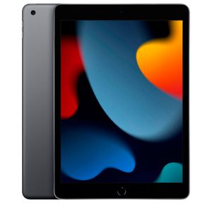Apple iPad 9ª geração, Chip A13 (Wi-Fi, 256GB) - Cinza-espacial