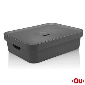 Caixa Organizadora com Tampa Cube G Baixa Chumbo - Ou